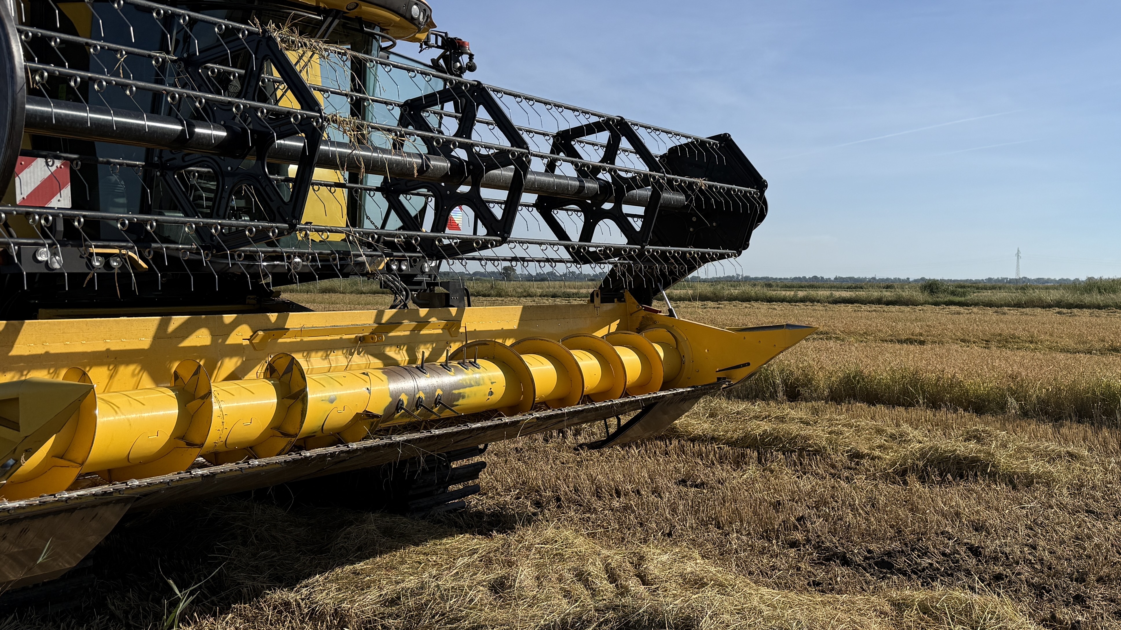 Voici l’heure de la moisson pour le riz Canavère.
