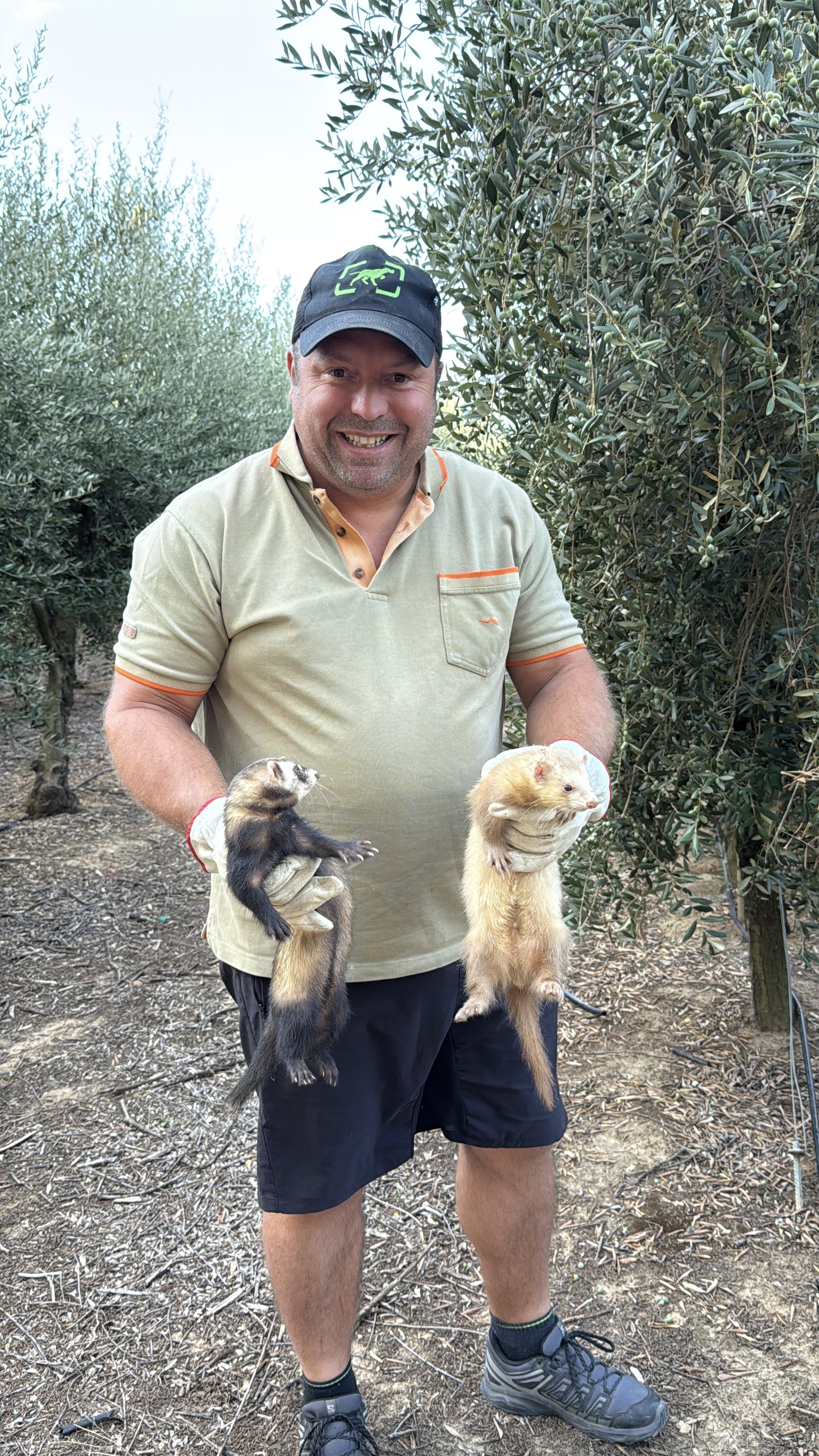 À Meynes, les furets courent après les lapins