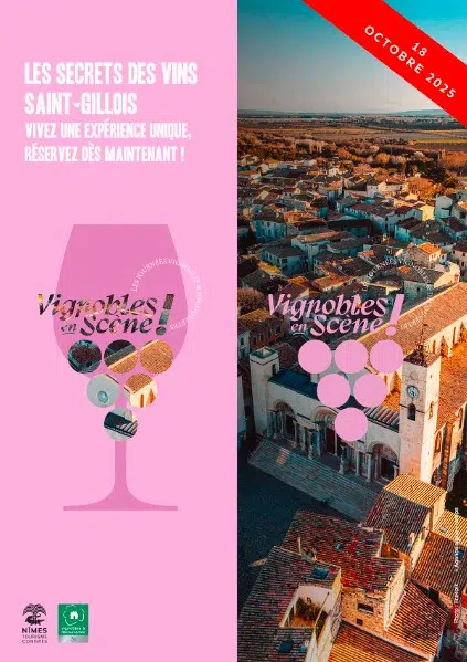 vSecret des vins saint gillois