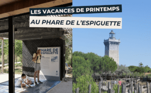 phare de l’Espiguette