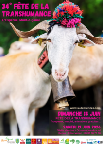 Transhumance